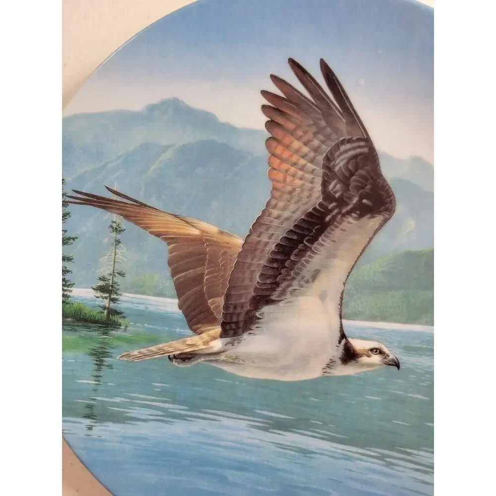 VTG 1990 Edwin Knowles The Osprey by Daniel Smith‎ 8.5